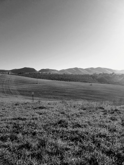 Foto vista panorâmica do campo contra o céu claro