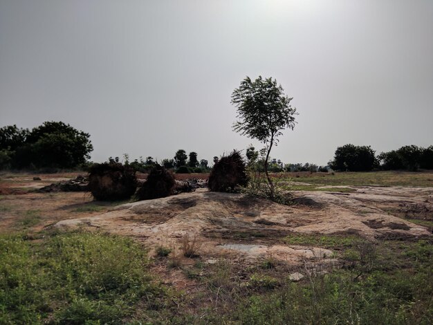 Foto vista panorâmica do campo contra o céu claro