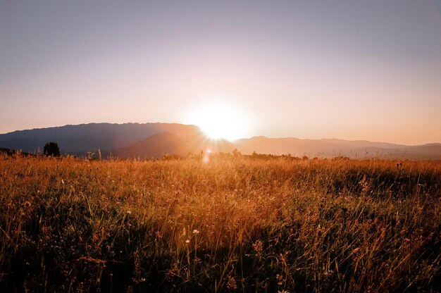 Foto vista panorâmica do campo contra o céu durante o pôr-do-sol