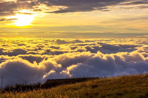 Foto vista panorâmica do campo contra o céu durante o pôr-do-sol