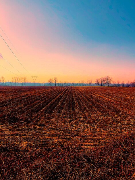 Foto vista panorâmica do campo contra o céu durante o pôr-do-sol