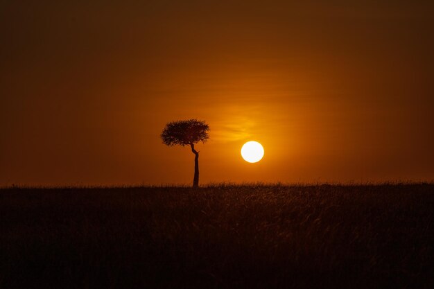 Foto vista panorâmica do campo contra o céu durante o pôr-do-sol