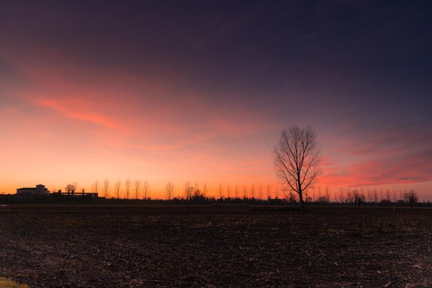 Foto vista panorâmica do campo contra o céu durante o pôr do sol