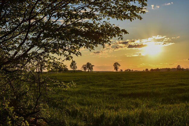 Foto vista panorâmica do campo contra o céu durante o pôr-do-sol