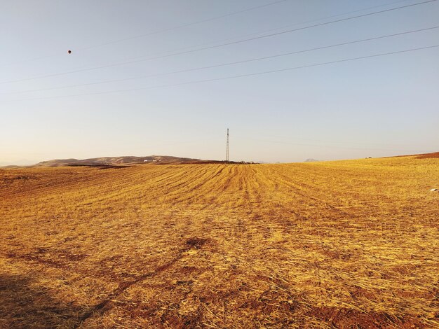 Foto vista panorâmica do campo contra o céu limpo