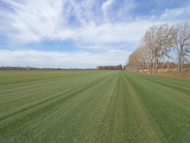 Vista panorâmica do campo contra o céu nublado