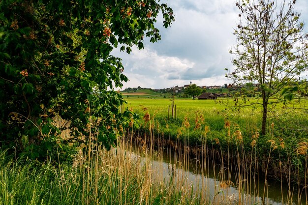 Vista panorâmica do campo contra o céu nublado