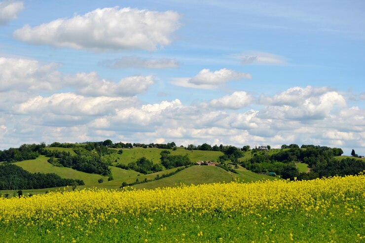 Foto vista panorâmica do campo contra o céu nublado