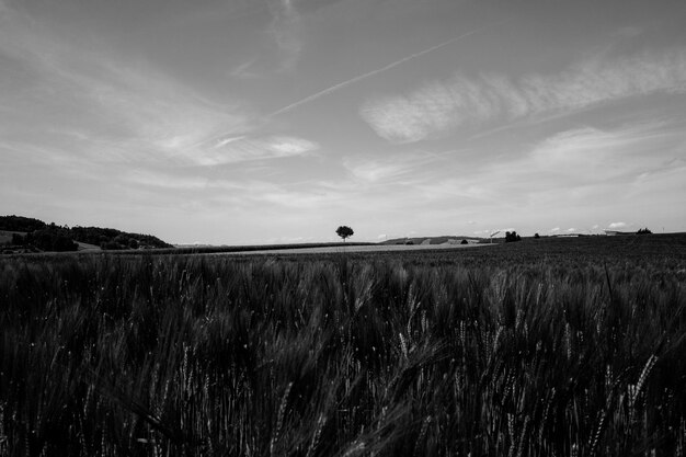 Vista panorâmica do campo contra o céu nublado