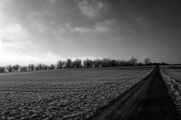 Foto vista panorâmica do campo contra o céu