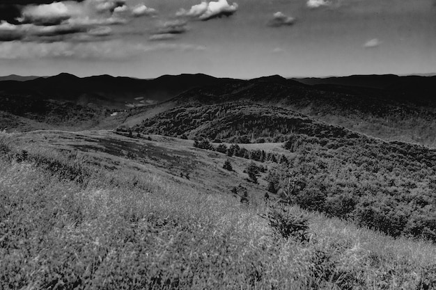 Foto vista panorâmica do campo contra o céu