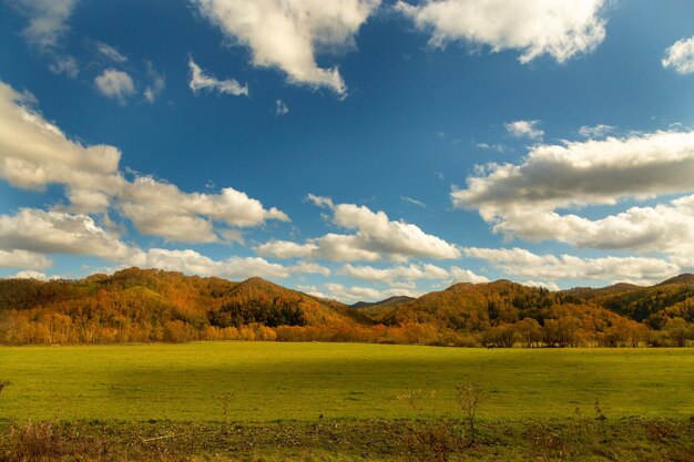 Foto vista panorâmica do campo contra o céu