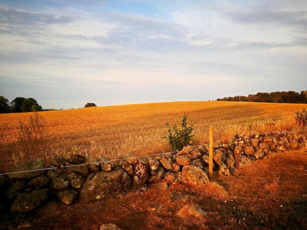 Vista panorâmica do campo contra o céu