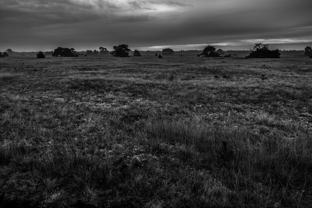 Vista panorâmica do campo contra o céu