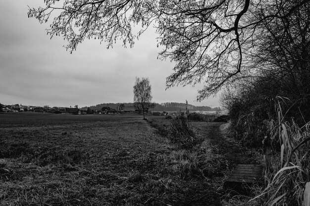 Vista panorâmica do campo contra o céu