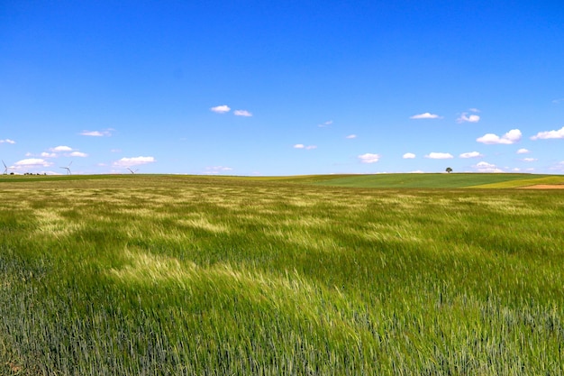 Vista panorâmica do campo contra o céu