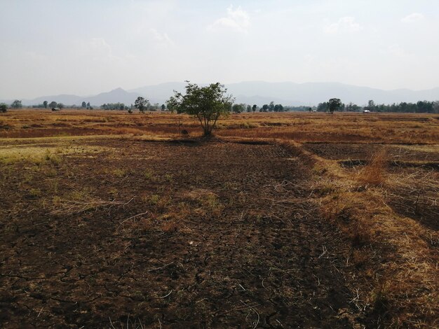 Vista panorâmica do campo contra o céu