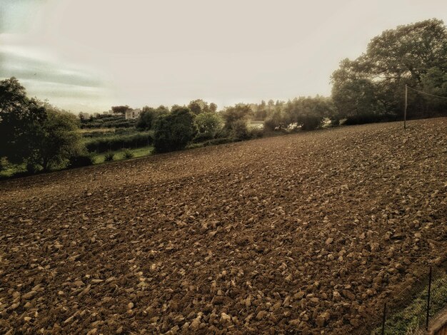 Foto vista panorâmica do campo contra o céu