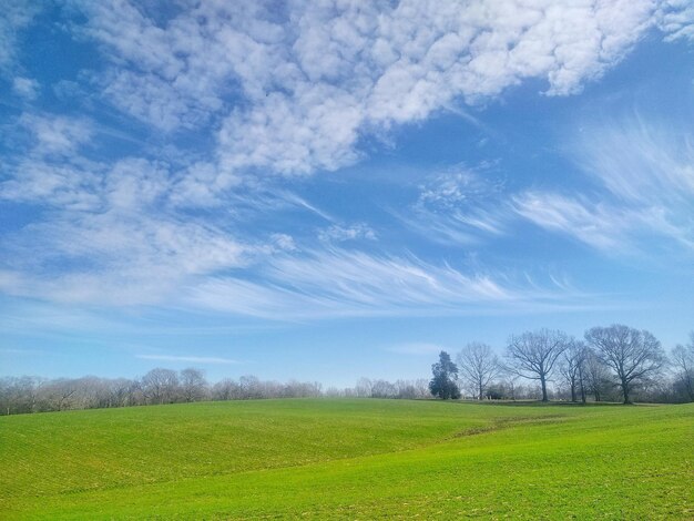 Vista panorâmica do campo contra o céu