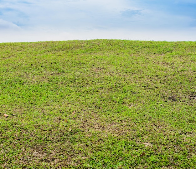 Foto vista panorâmica do campo contra o céu