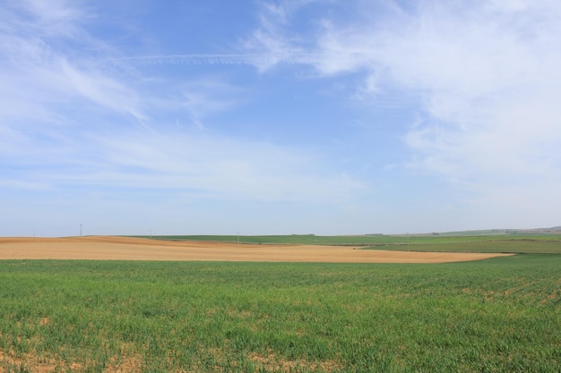 Vista panorâmica do campo contra o céu
