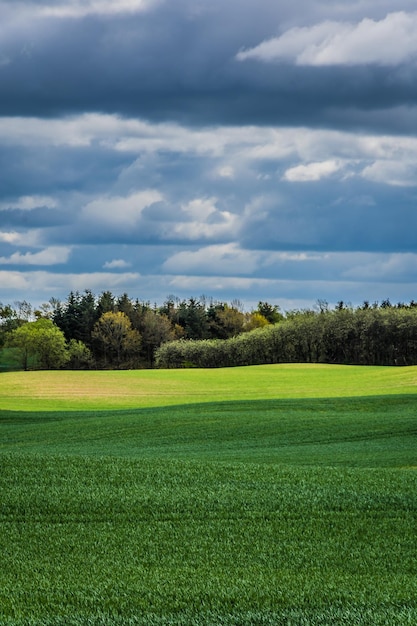 Foto vista panorâmica do campo contra o céu