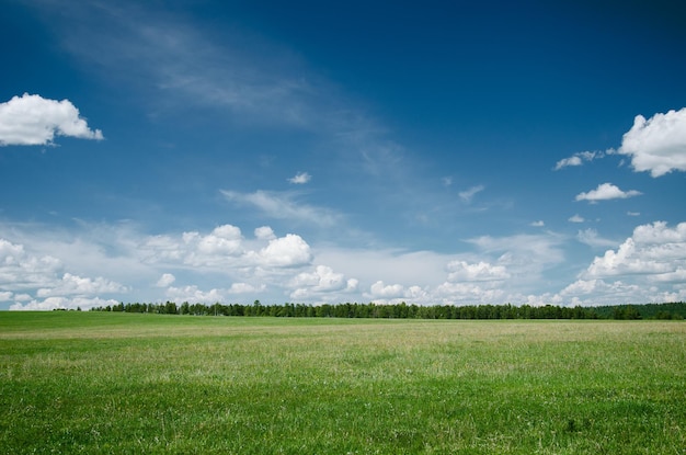 Vista panorâmica do campo contra o céu