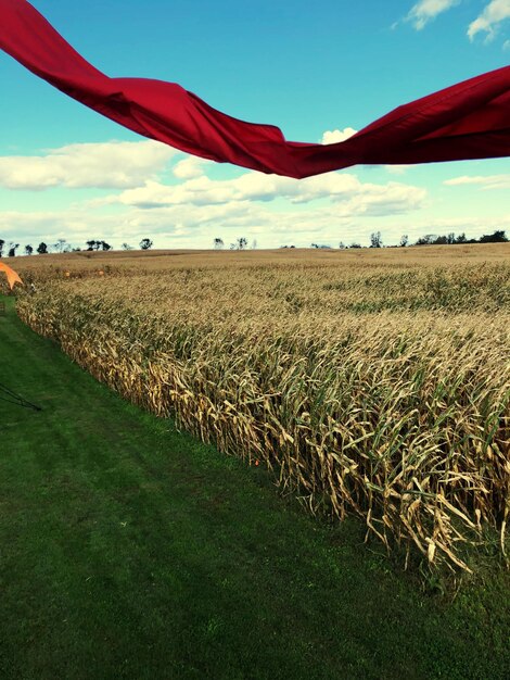 Foto vista panorâmica do campo contra o céu