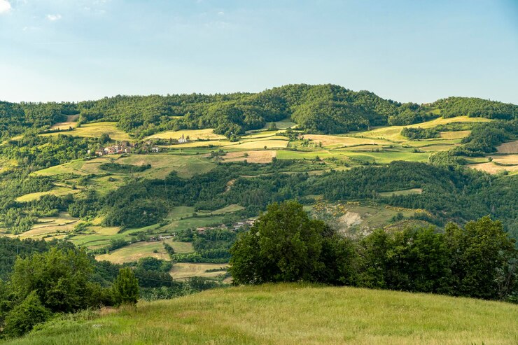 Foto vista panorâmica do campo contra o céu