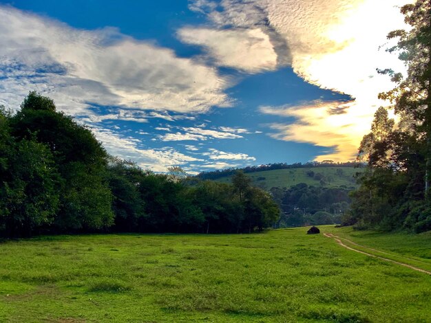 Foto vista panorâmica do campo contra o céu