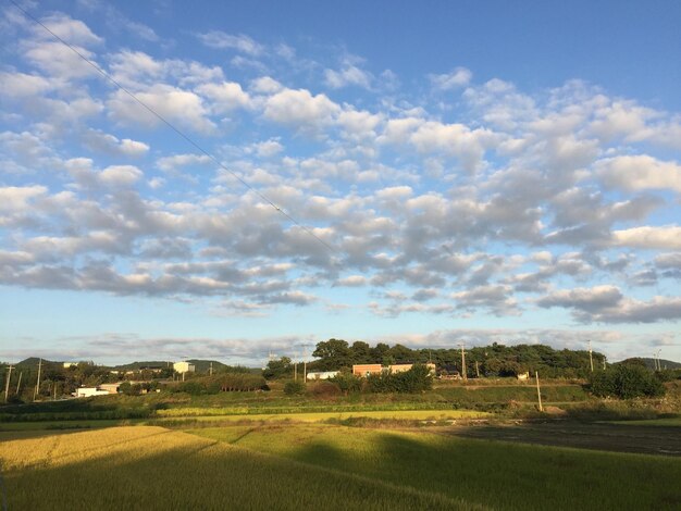 Foto vista panorâmica do campo contra o céu