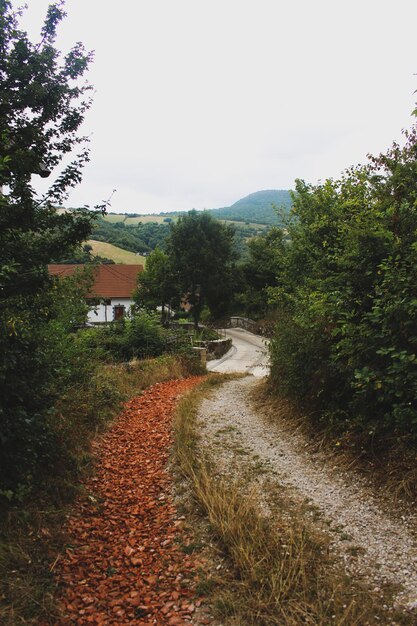 Foto vista panorâmica do campo contra o céu