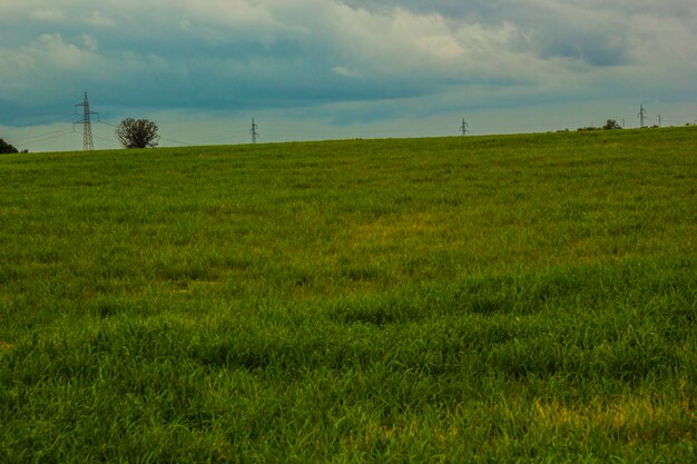 Foto vista panorâmica do campo contra o céu