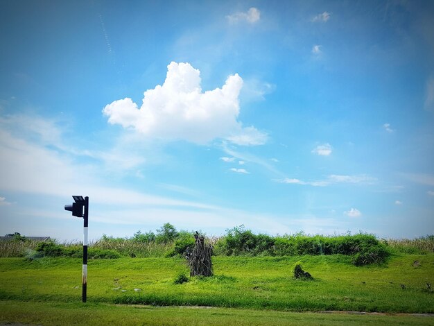 Foto vista panorâmica do campo contra o céu