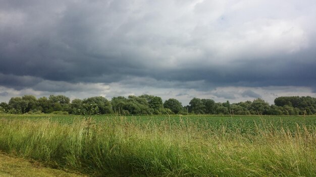 Vista panorâmica do campo contra o céu