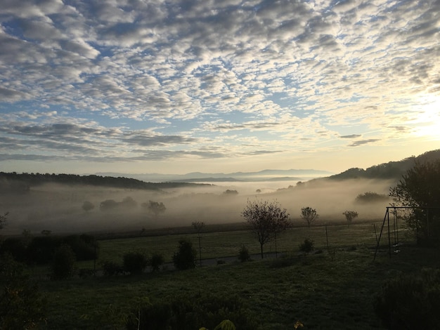 Foto vista panorâmica do campo contra o céu