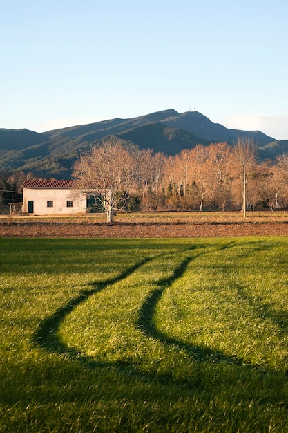 Foto vista panorâmica do campo contra o céu