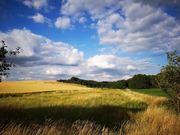 Vista panorâmica do campo contra o céu