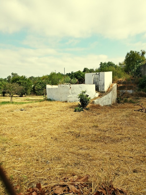 Foto vista panorâmica do campo contra o céu