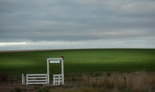 Foto vista panorâmica do campo contra o céu