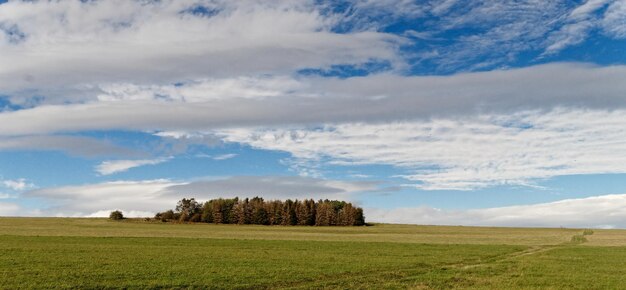 Vista panorâmica do campo contra o céu