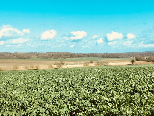 Foto vista panorâmica do campo contra o céu