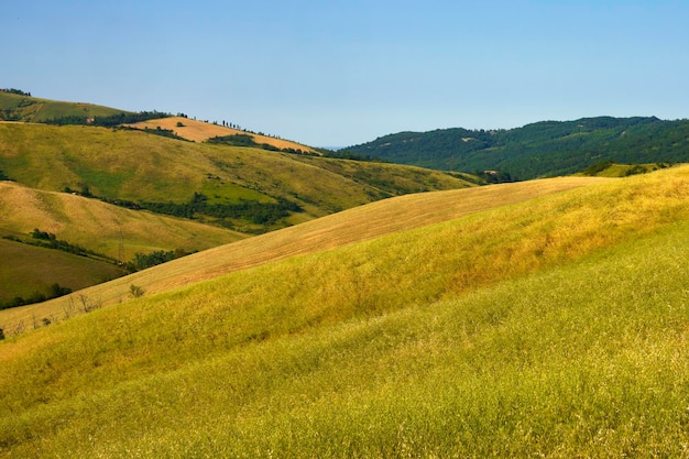 Foto vista panorâmica do campo contra o céu