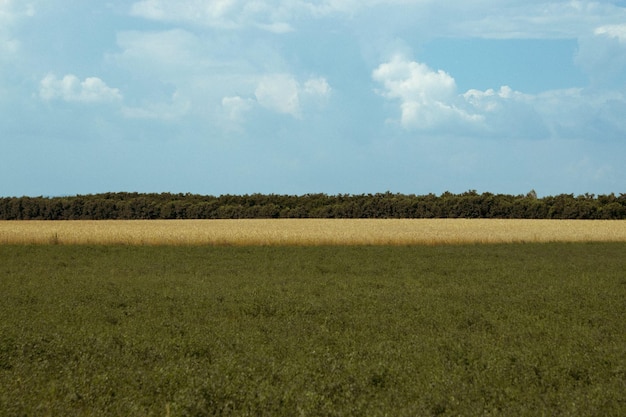 Vista panorâmica do campo contra o céu