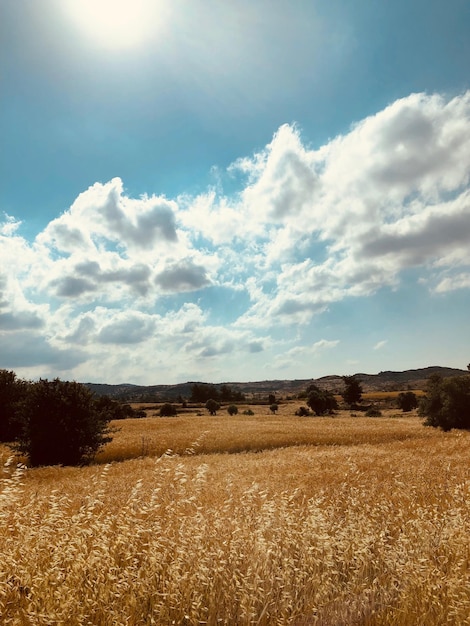 Vista panorâmica do campo contra o céu