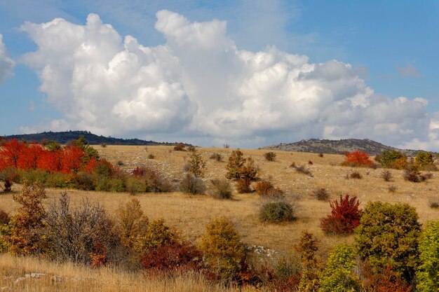 Foto vista panorâmica do campo contra o céu