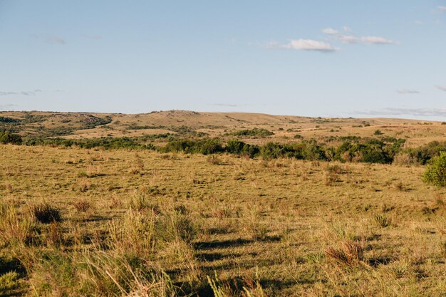 Vista panorâmica do campo contra o céu