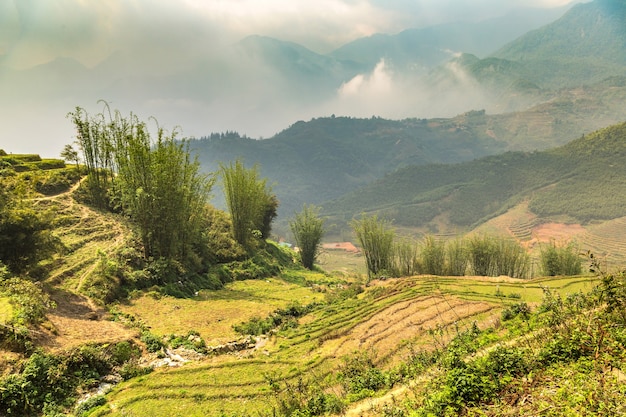 Vista panorâmica do campo de arroz em socalcos em Sapa, Lao Cai, Vietnã