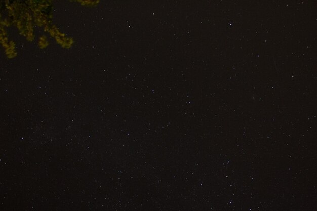 Foto vista panorâmica do campo de estrelas contra o céu à noite