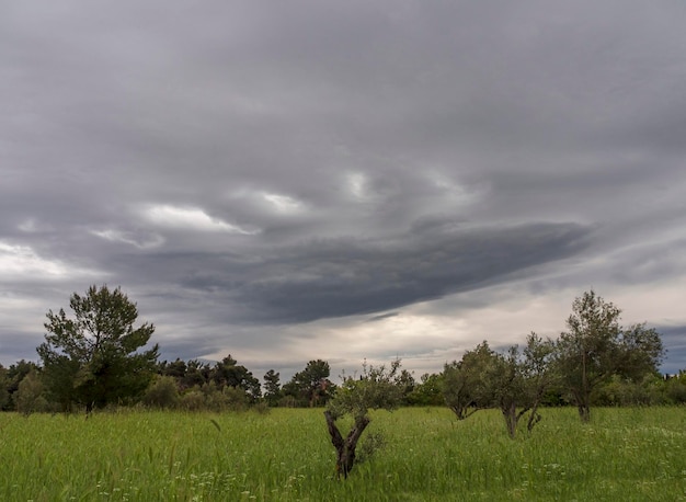 Foto vista panorâmica do campo de montanha e céu com nuvens na ilha de evia grécia